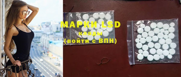 тгк Каменногорск