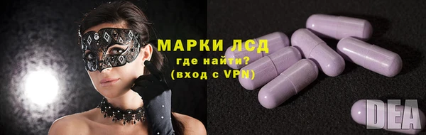 амф Каменка