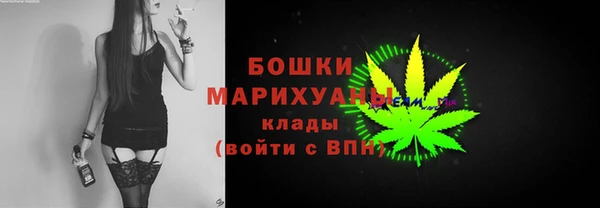 тгк Каменногорск