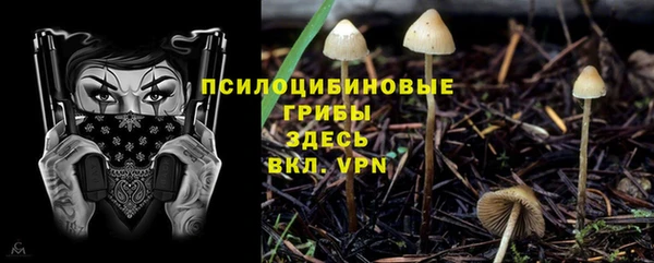 амф Каменка