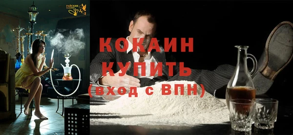 тгк Каменногорск